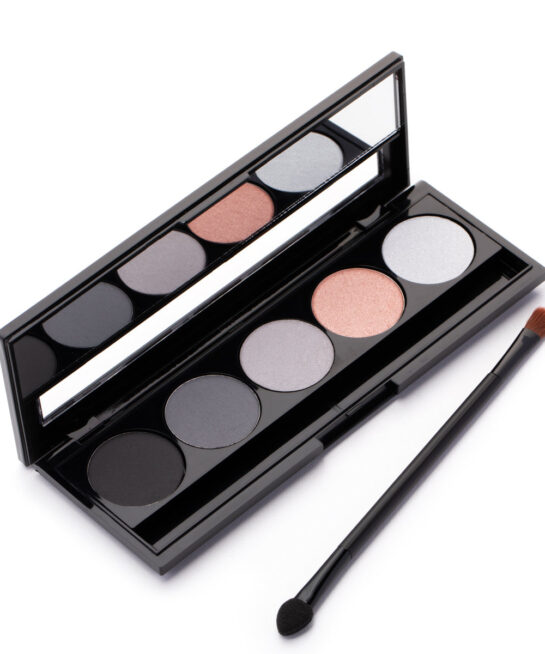 Iconic eye palette eyeshadow br 313
