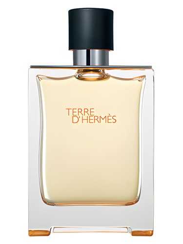 Terre D Hermes 100ml edt