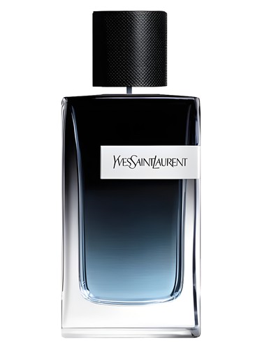 Yves Saint Laurent Y 100ml edp